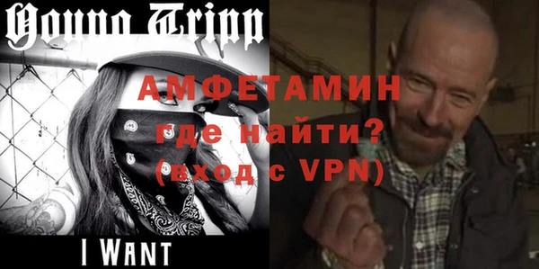 гидра Арсеньев